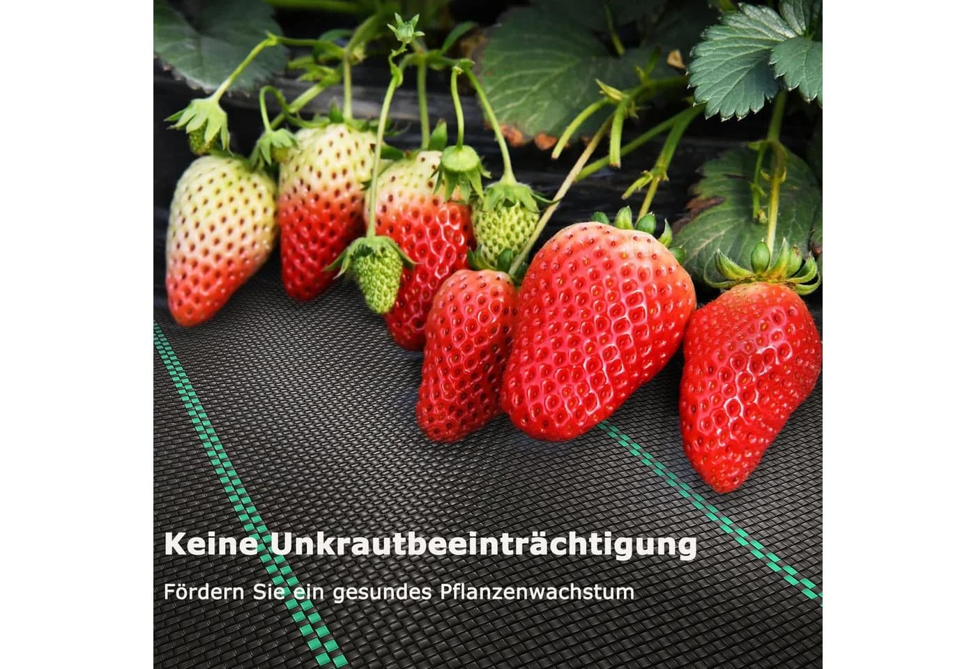 OUNUO Unkrautvlies 90g/m² Schwarz 4x10m Rolle UV-stabilisiert - Bild 3
