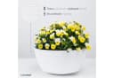 KONZEPT Blumenampel Hängend 30cm Grau/Weiß Geflochten Bild 1