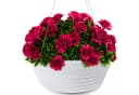 KONZEPT Blumenampel Hängend 30cm Grau/Weiß Geflochten Bild 2