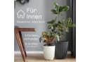 KONZEPT Hoher Blumentopf Weiß mit Drainagesystem für Balkon & Garten Bild 4
