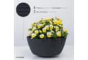 KONZEPT Blumenampel Hängend 30 cm Grau Anthrazit Weiß Bild 1