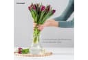 KONZEPT Tischvase Glasvase Geriffelt Set 2 St Transparent Bild 3