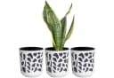 KONZEPT Blumentopf 3er Set klein Ø 14cm Anthrazit-creme Kunststoff Bild 2