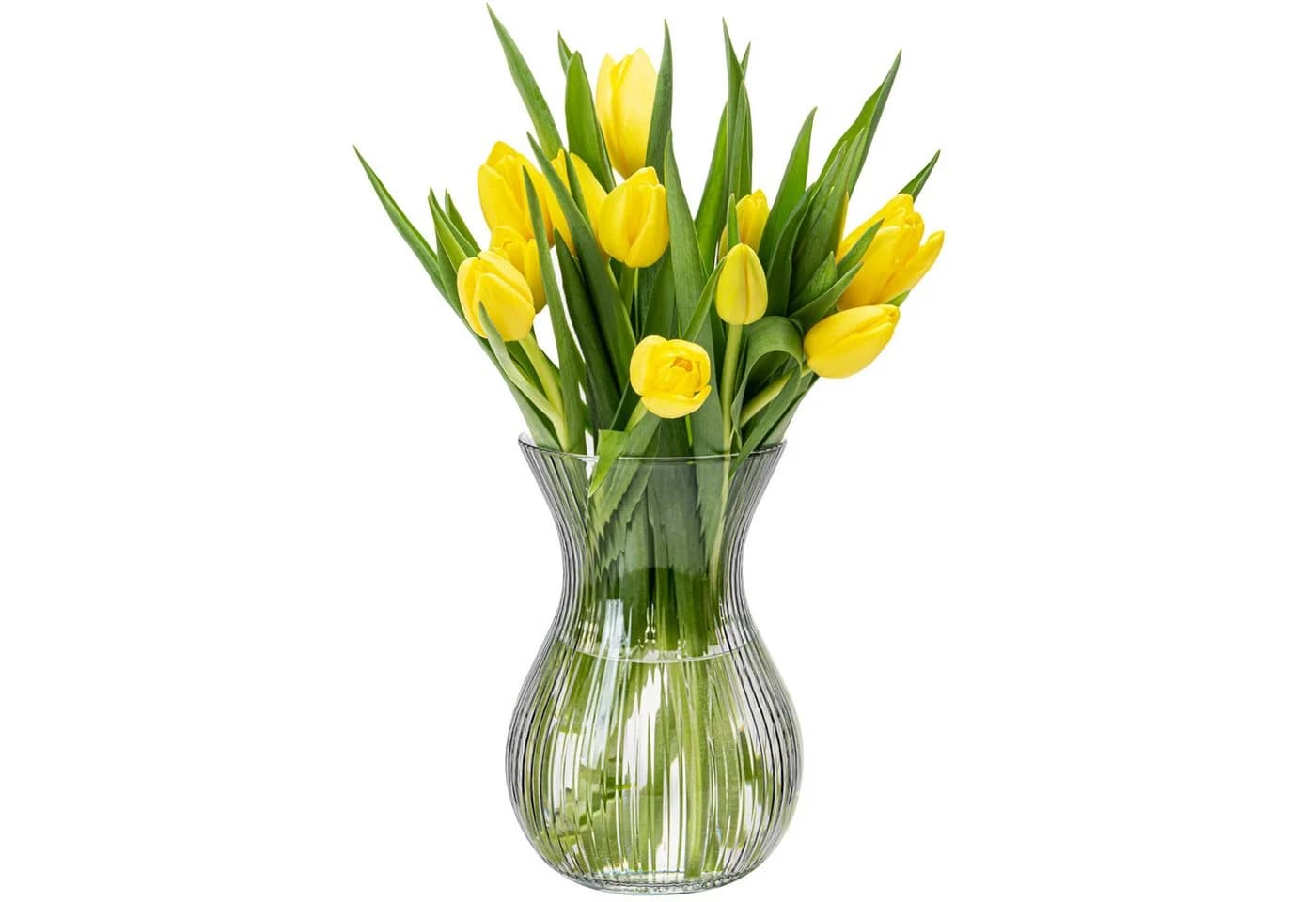 KONZEPT Tischvase Glasvase geriffelt 18 cm transparent - Bild 2