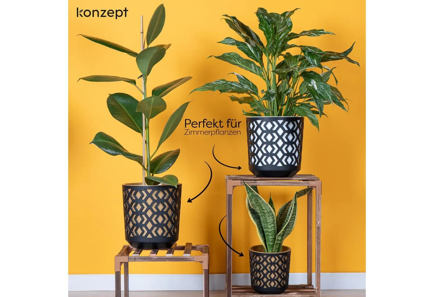 KONZEPT Blumentopf Set Ø 14cm Gold-Schwarz Kunststoff - Bild 3
