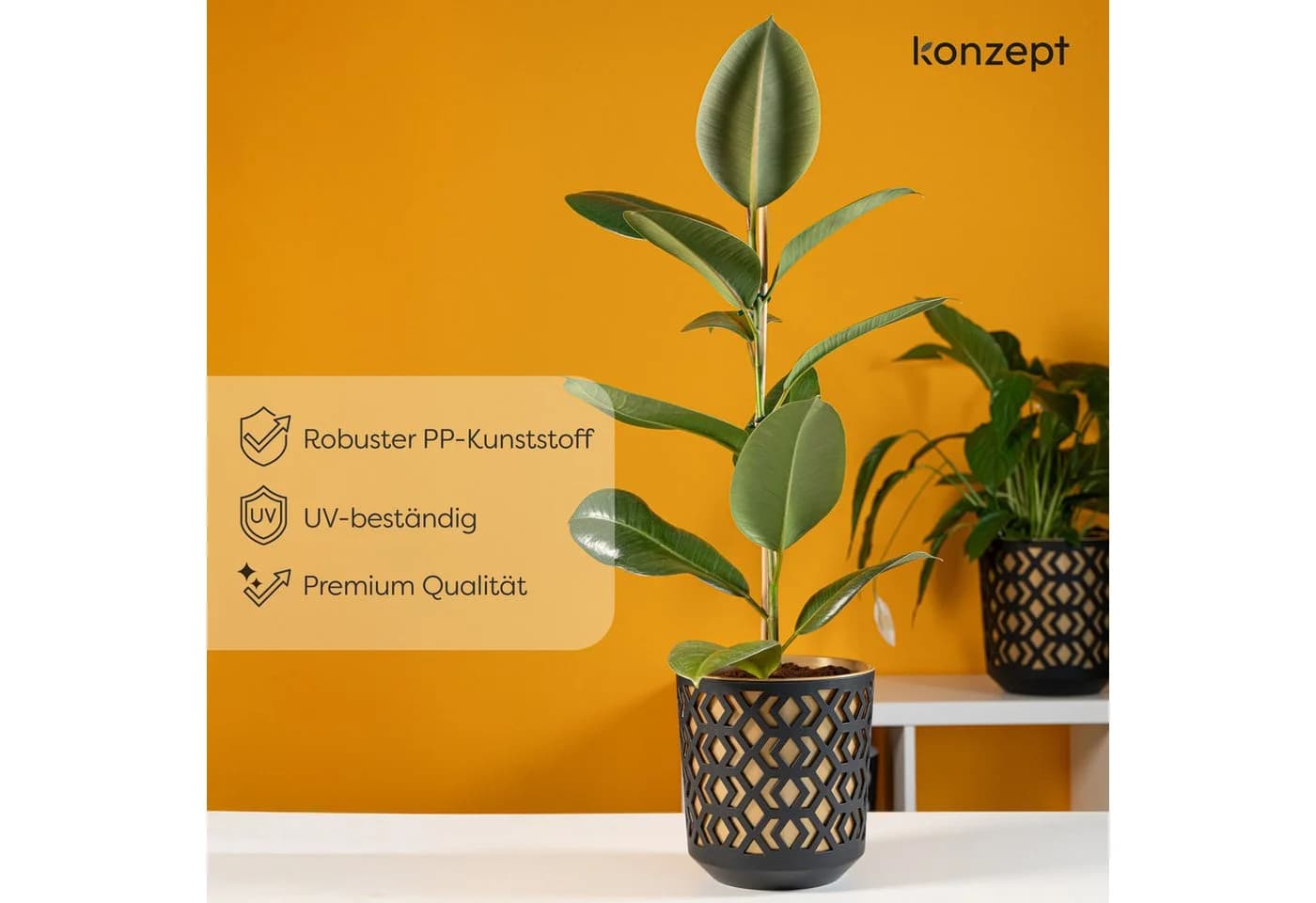 KONZEPT Blumentopf Übertopf Set Gold-Schwarz für Zimmerpflanzen - Bild 4
