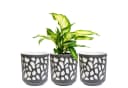 KONZEPT Blumentopf 3er Set beige/grau Polypropylen Bild 2