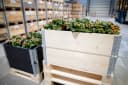 Upyard Palettenrahmen Hochbeet Stapelbar Unbehandeltes Holz Bild 5