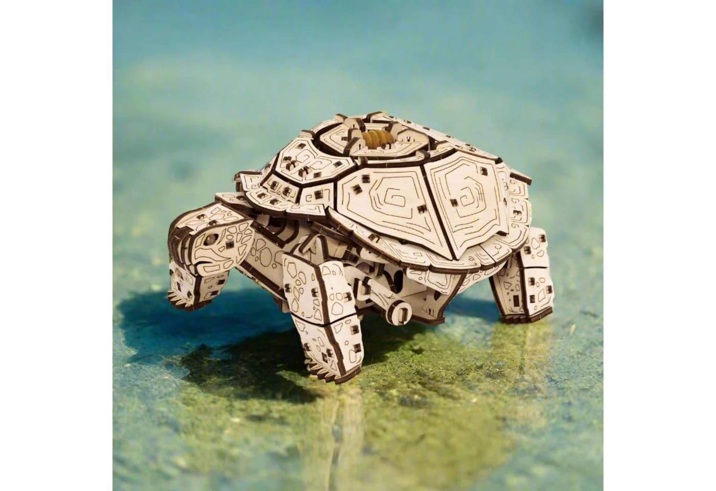 Eco Wood Art Mechanische Schildkröte Turtle Mechanisches Holzpuzzle, 269-tlg