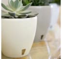 Happy plants Blumentopf Deco Twin Selbstbewässerung beige Bild 5