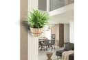 SEEZSSA Rankhilfe 3x Blumentopfhalter Metall Wandhalterung Schwarz Bild 3