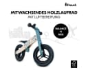Hauck Laufrad Balance N Ride Turtle 12 Zoll Holz mit Lufträdern Bild 1