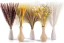 Fyrove Trockenblume Pampasgras 100 Stück Beige Boho Deko Bild 5