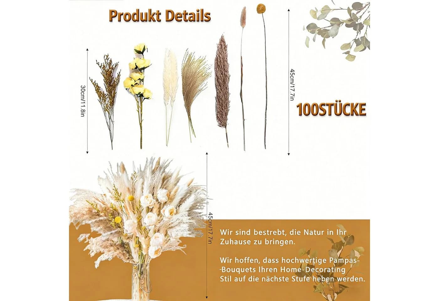 wohnTRAUM24 Trockenblume Pampasgras Deko 100 Stück DIY