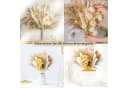 wohnTRAUM24 Trockenblume Pampasgras Deko 100 Stück DIY Bild 5