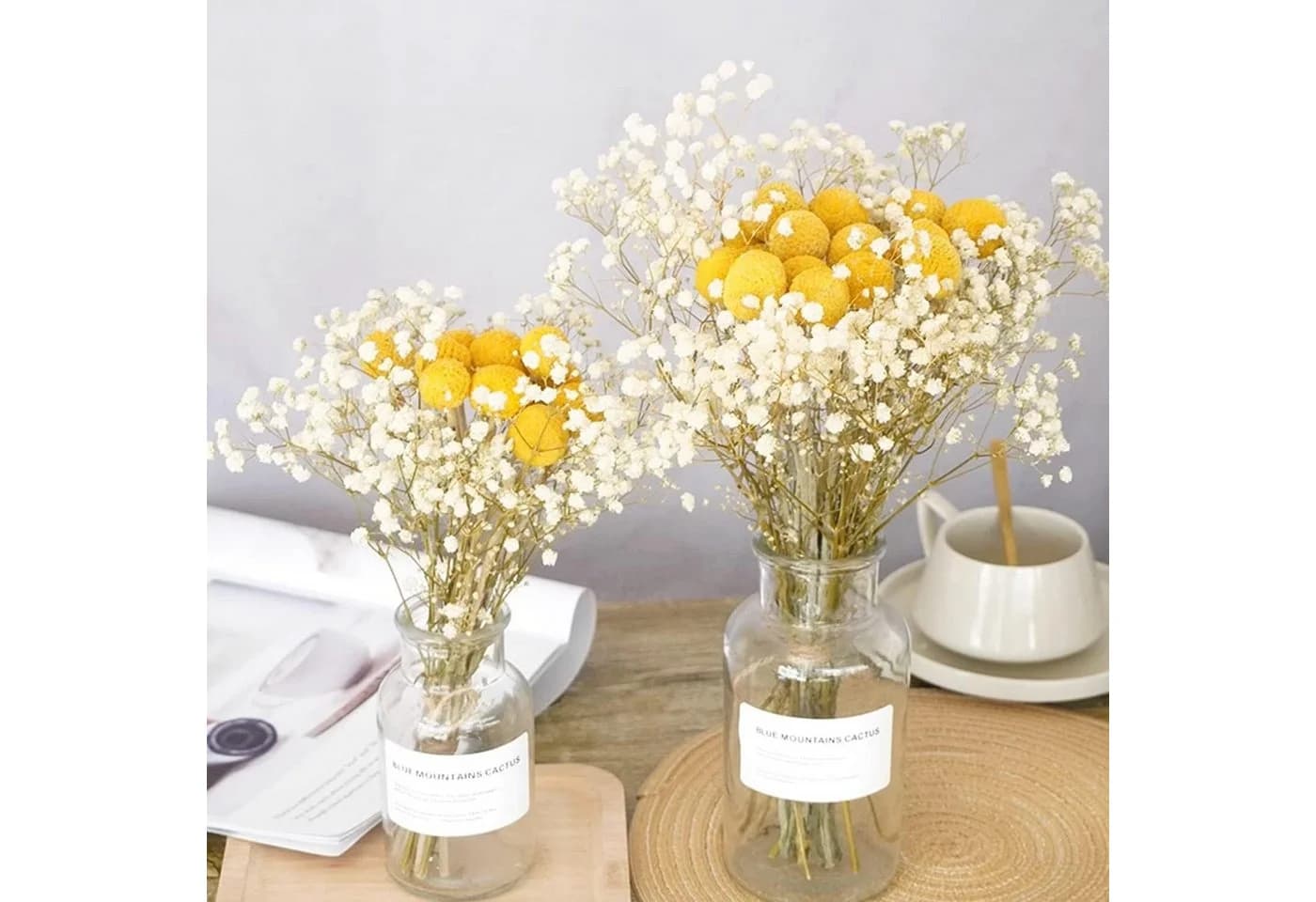 Trockenblume Pampasgras Getrocknete Craspedia Globosa 30 Stück Trockenblumen - Bild 5