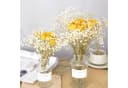 ibettertec Trockenblumen Set 30 Stk. Pampasgras & Craspedia Gelb/Grau 45 cm Bild 5