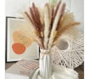 ibettertec 75-tlg. Trockenblumen Set Pampasgras Beige/Braun/Weiß Boho Bild 1