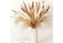 ibettertec 75-tlg. Trockenblumen Set Pampasgras Beige/Braun/Weiß Boho Bild 2
