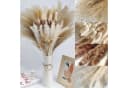 ibettertec 75-tlg. Trockenblumen Set Pampasgras Beige/Braun/Weiß Boho Bild 3