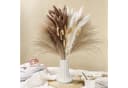 ibettertec 75-tlg. Trockenblumen Set Pampasgras Beige/Braun/Weiß Boho Bild 4