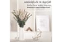 ibettertec 85-tlg. Trockenblumen Set Pampasgras & Eukalyptus Beige Boho Deko Bild 4