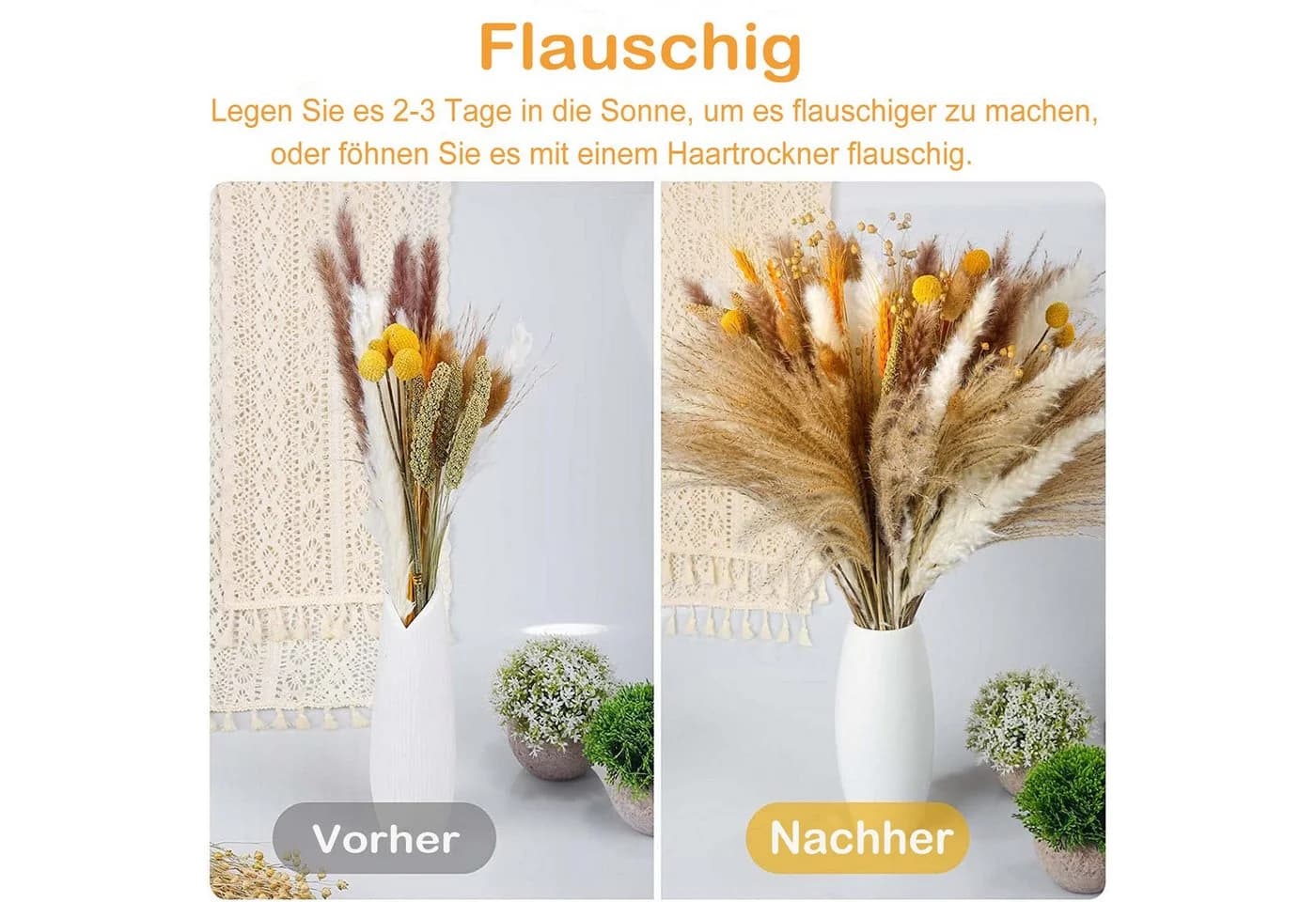 Toomoke 100 Stück Pampasgras Trockenblumen Deko Beige Boho