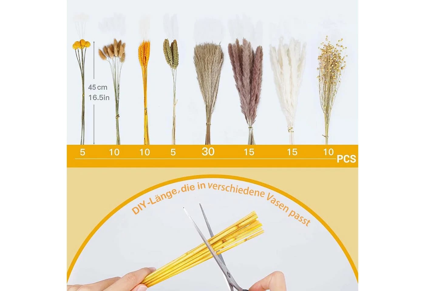 Toomoke 100 Stück Pampasgras Trockenblumen Deko Beige Boho - Bild 5
