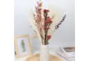Forrlite Trockenblumen Pampasgras 43 Stück Beige 44 cm Bild 3