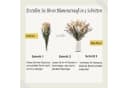 Forrlite Trockenblumen Pampasgras Set Beige Boho Deko Bild 4