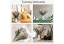 Forrlite Trockenblumen Pampasgras Set Beige Boho Deko Bild 5