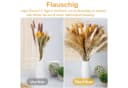 Forrlite 100 Stück Pampasgras Trockenblumen Deko Beige Boho Bild 1