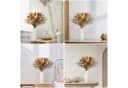 Forrlite 100 Stück Pampasgras Trockenblumen Deko Beige Boho Bild 3