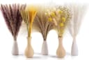 Forrlite 100 Stück Pampasgras Trockenblumen Deko Beige Boho Bild 4