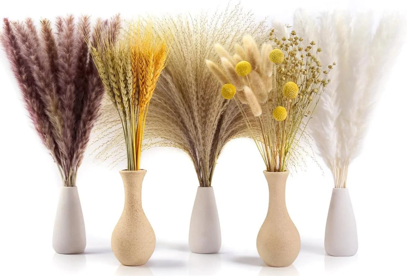 Forrlite 100 Stück Pampasgras Trockenblumen Deko Beige Boho - Bild 4