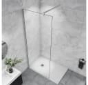 Duschspa Duschwand 185cm Glaswand mit Nano-Beschichtung Bild 1
