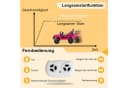 LALAHO Elektro-Kinderauto mit 2,4 GHz Fernbedienung Bild 3