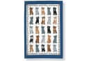 Ulster Weavers Geschirrtuch Kätzchen Design Blau 100% Baumwolle Bild 1