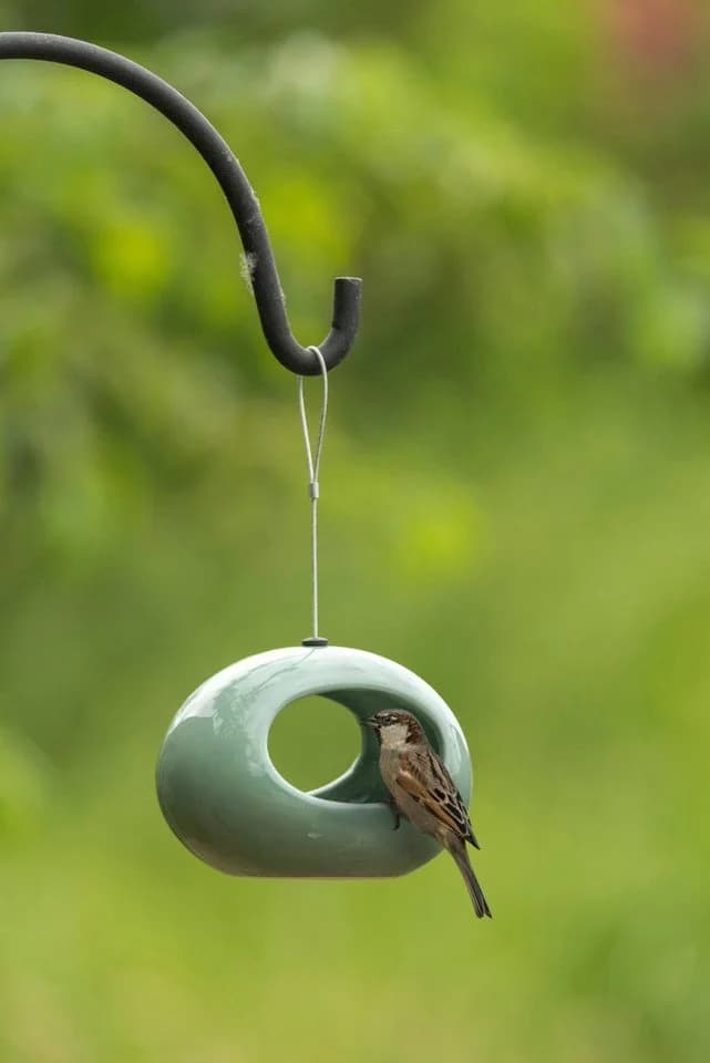 Wildlife Hängende Wasserschale Selo Grün