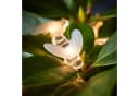 Lights4fun LED Lichterkette 20er Bienen Transparent Bild 2