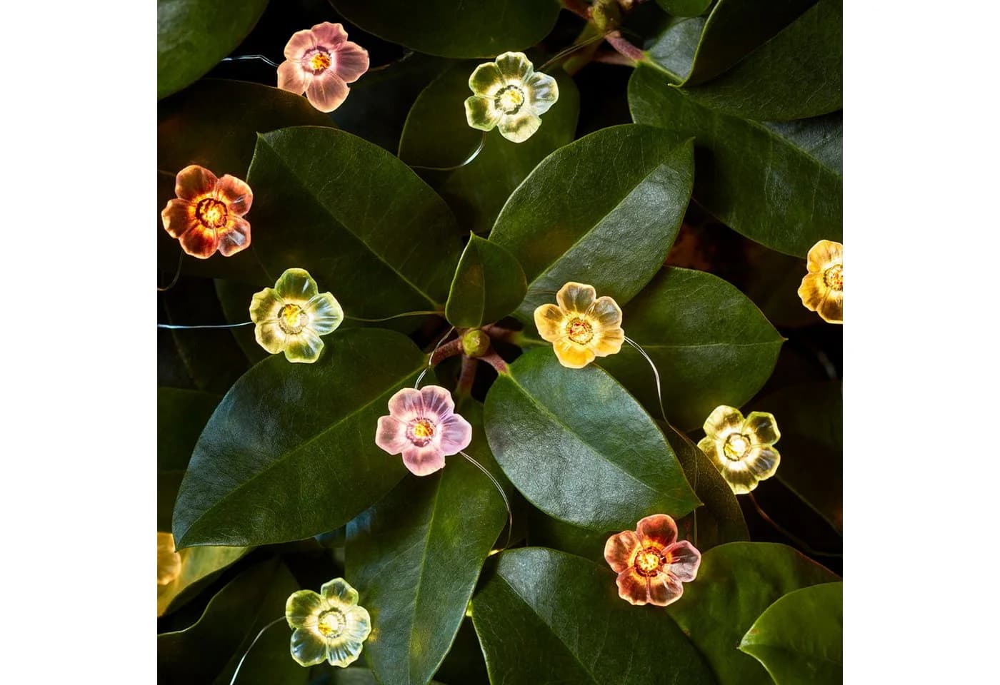 Lights4fun LED-Lichterkette 20er Micro Bunte Rosen