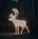Lights4fun LED-Dekofigur Arkendale Bicolor LED Rentier Bild 3