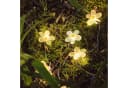 Lights4fun LED-Lichterkette 20er Blumen Pastellfarben Bild 5