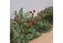 Lights4fun LED-Girlande mit roten Beeren und Timer Bild 3
