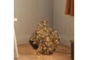 Lights4fun LED-Gartenfigur Eichhörnchen Rattan mit 60 LEDs und Timer Bild 5