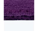 Homescapes XXL-Badematte 70x120 cm 100% Baumwolle Lila Bild 5