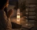 Heimtex Salzkristall-Tischlampe Selenit-Turm Lampenset Zwillings-Türme USB Bild 1