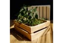 Creative Deco 3er Set Holzkiste Rustikal Natur Schwarz Weiß Grau Bild 1