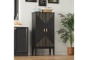 Flieks Hochschrank Schwarz mit 2 Türen und 15 Fächern Bild 1