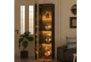 Flieks Glasvitrine Hochschrank Schwarz mit LED-Beleuchtung Bild 1